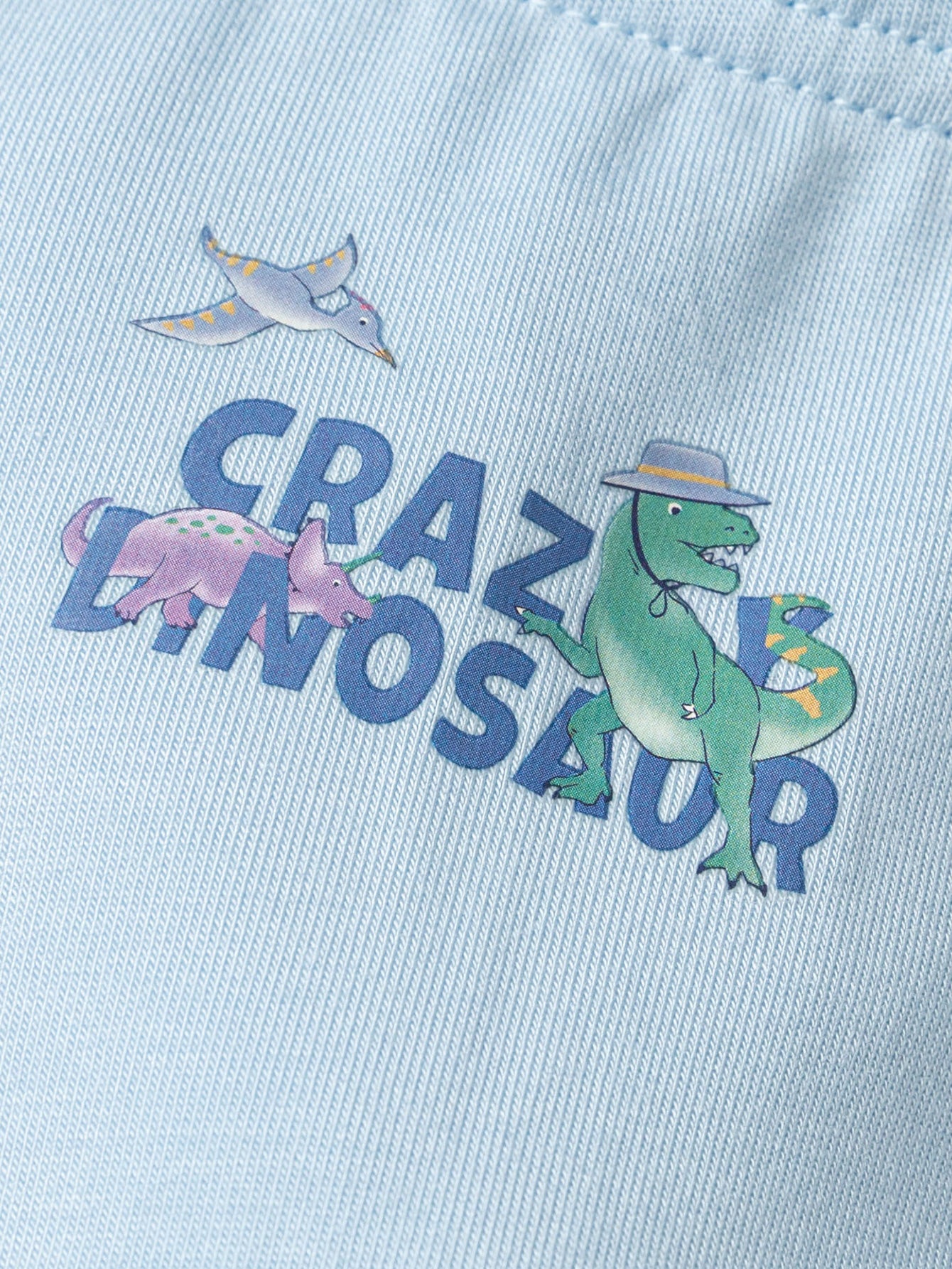 Set Të Brendshme Dino Explorer Boxer Briefs 2-Pack 🦖